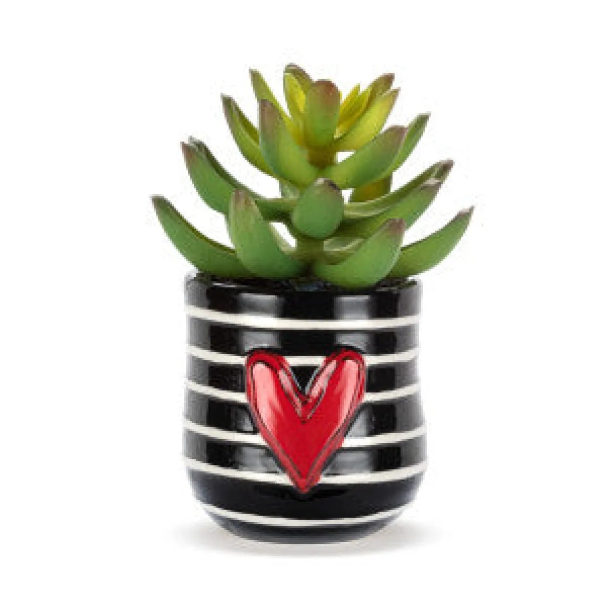 Vesterheim Décor & Figurines-Mini Succulent by Tracy Peche